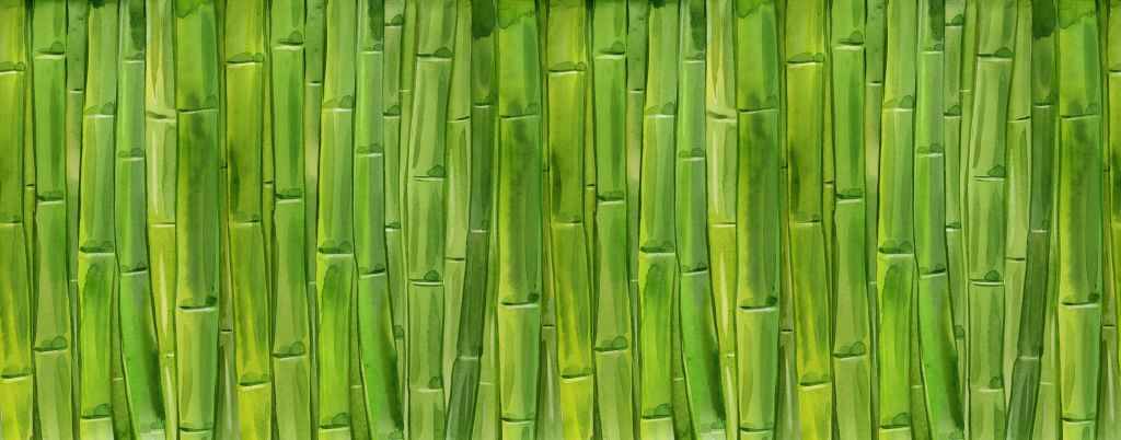 Aquarel bamboe