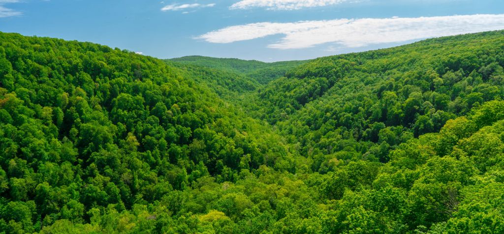 Whitaker Point