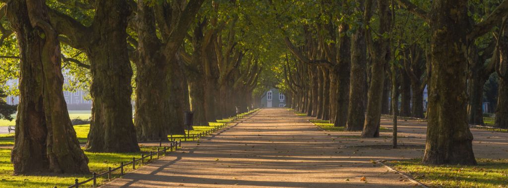 Park in de herfst