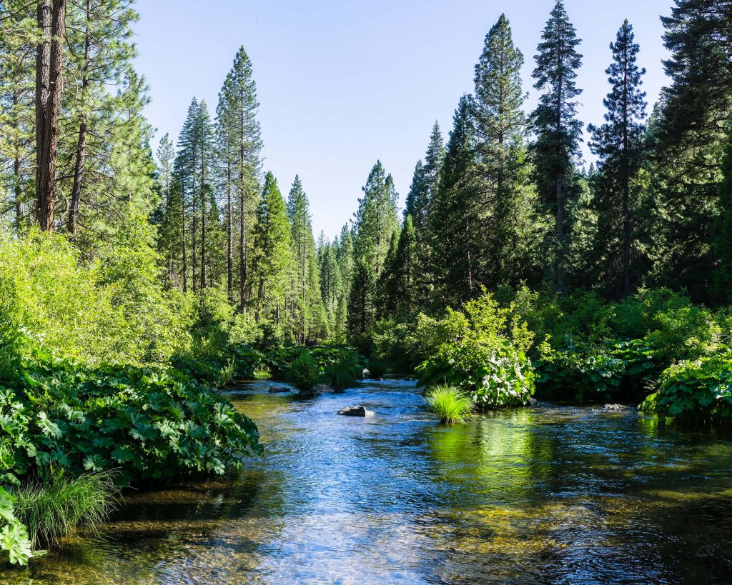 McCloud rivier