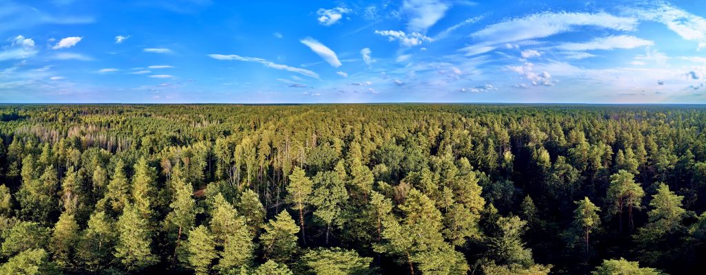 Uitzicht vanuit de lucht