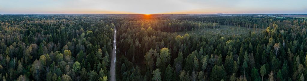 Luchtfoto van herfstbomen