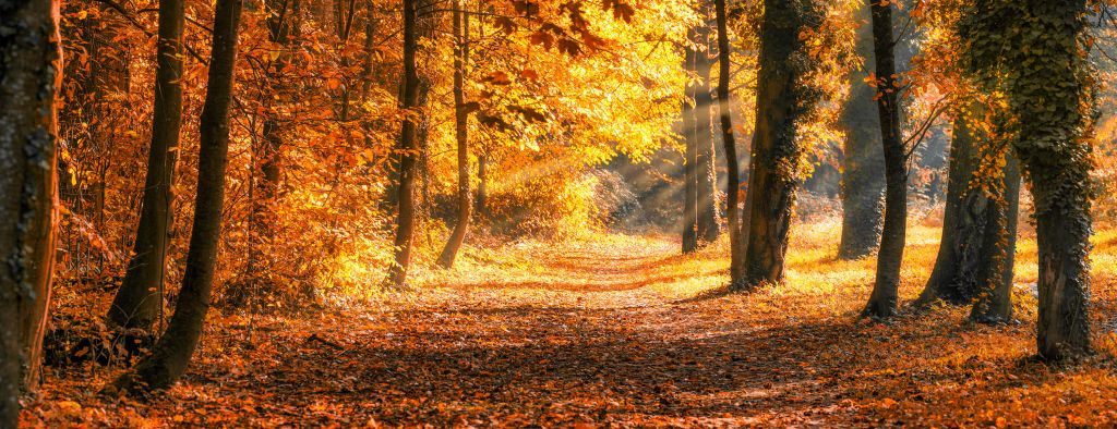 Panorama in de herfst