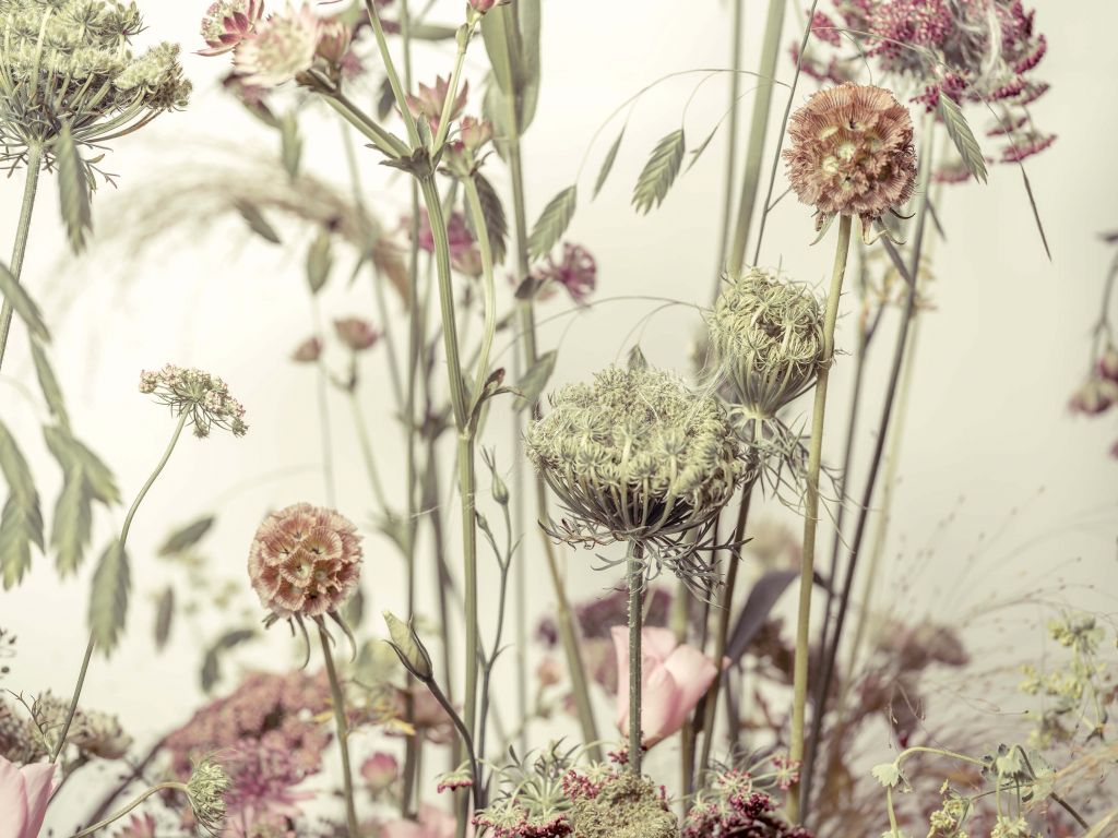 Close-up bloemen