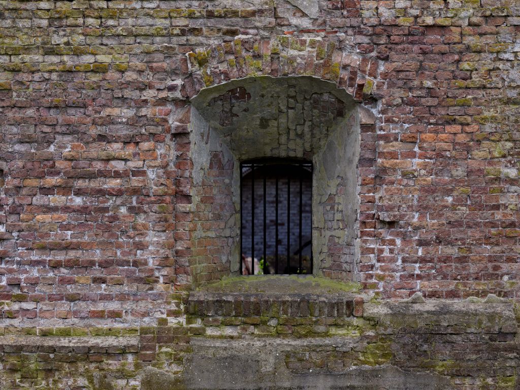 Nis in oude muur