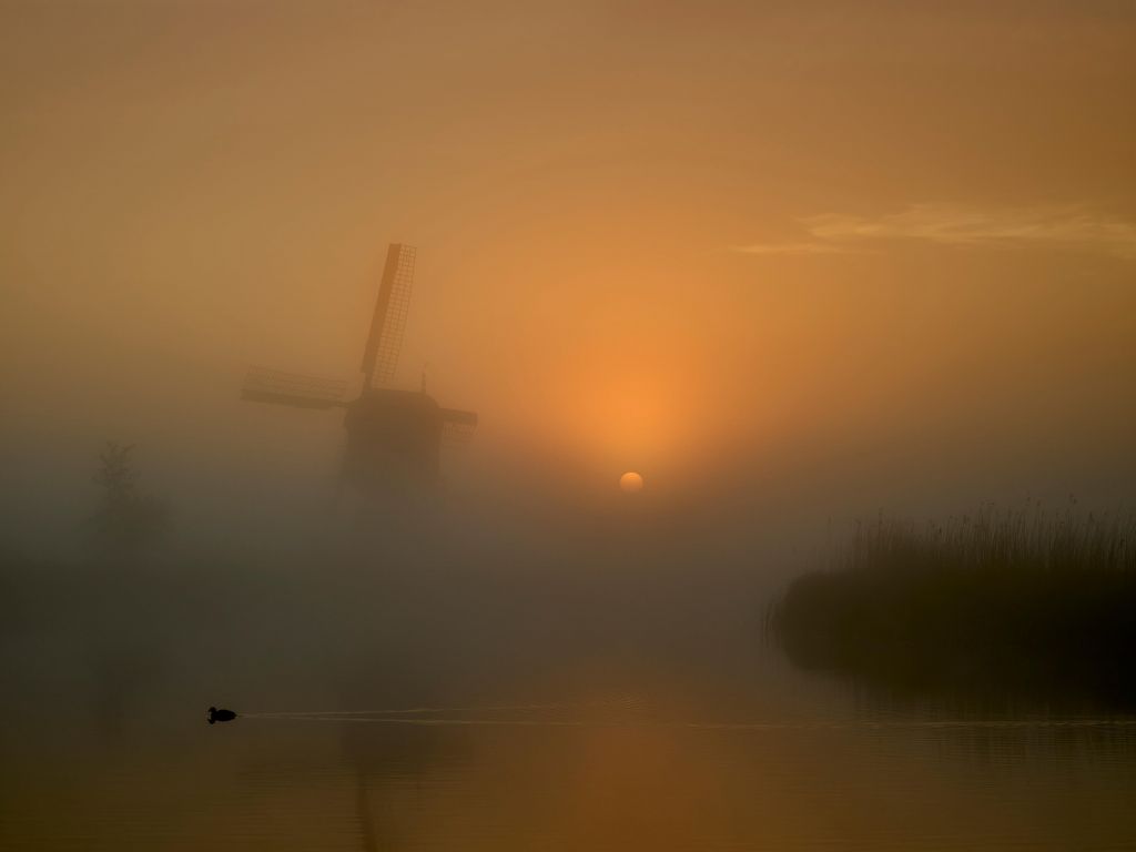 Molen in de mist