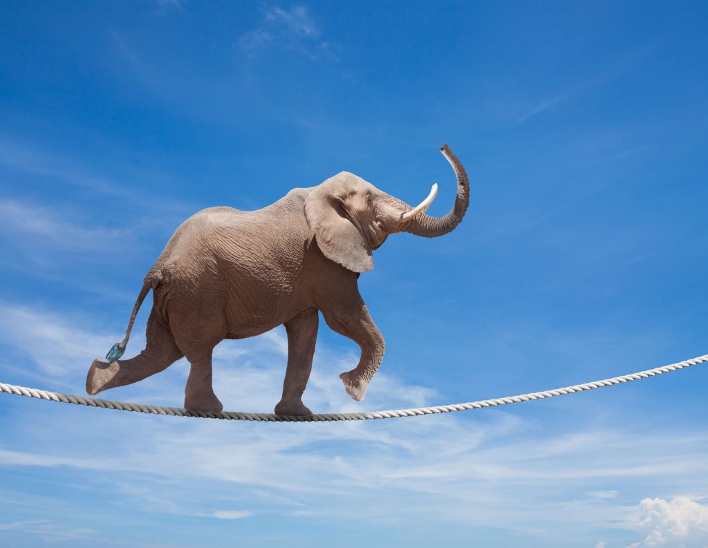 Balancerende olifant