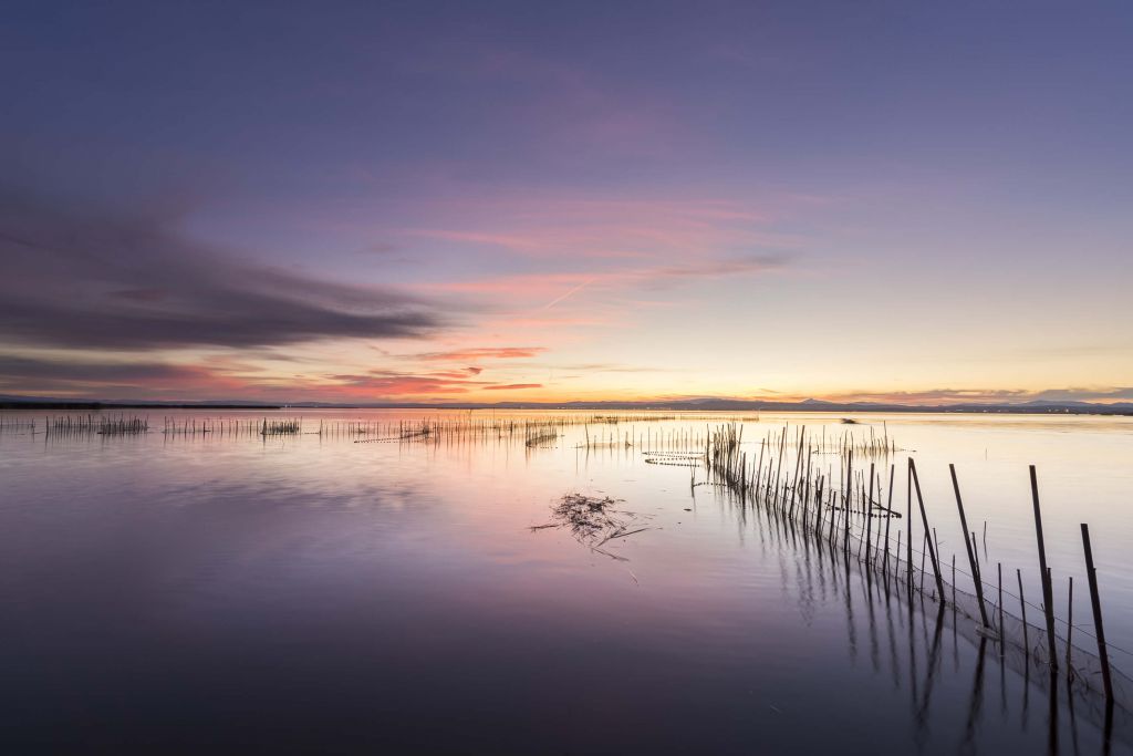 Roze paarse zonsondergang