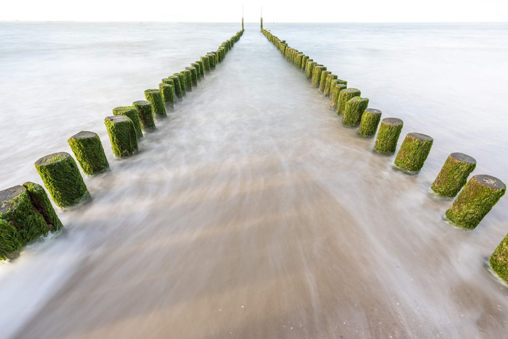 Groene paalhoofden
