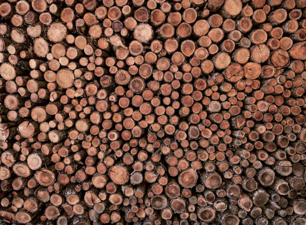 Grote stapel houtblokken