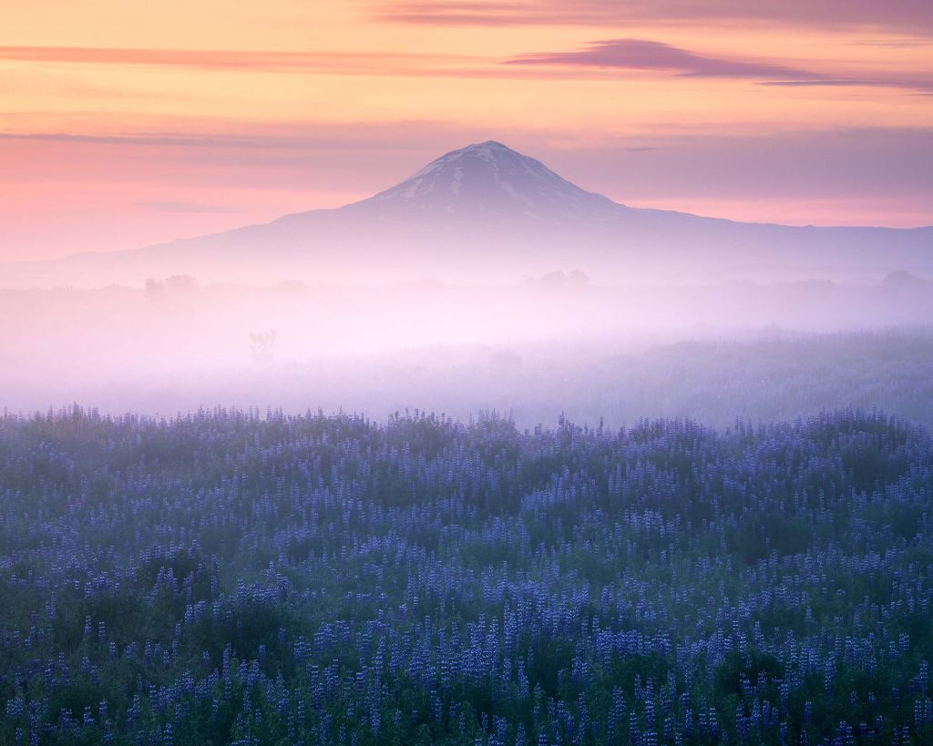 Iceland - Morning Calmness