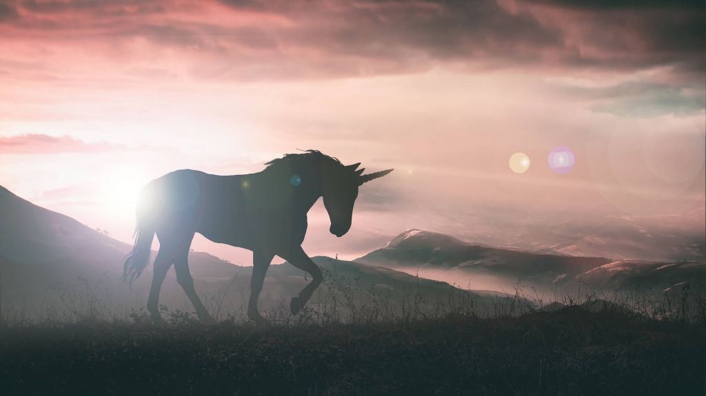 Unicorn bij een zonsondergang