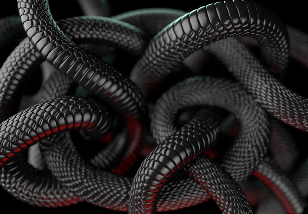 Zwarte slangen