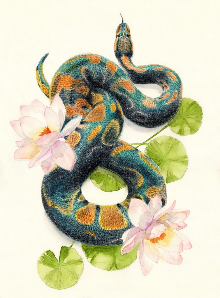 Aquarel slang