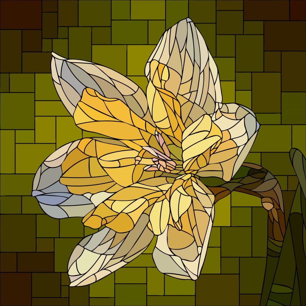 Narcis in bloei