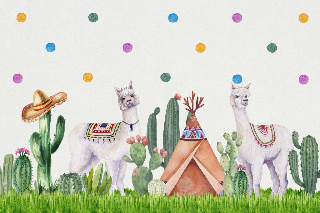 Alpaca's tussen cactussen