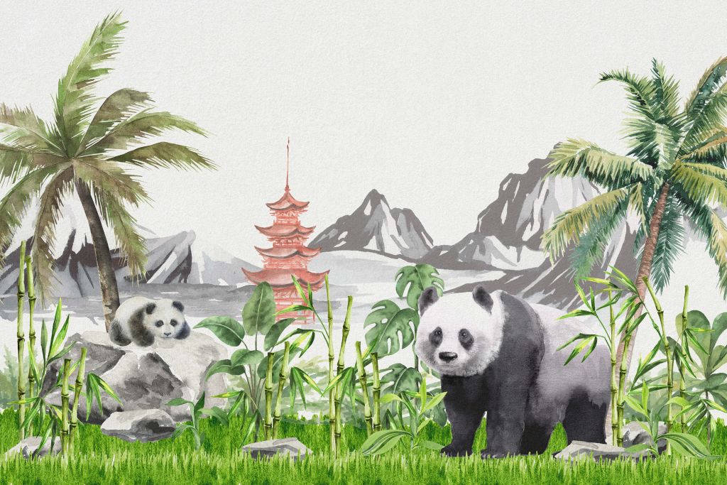 Panda's in bamboo jungle