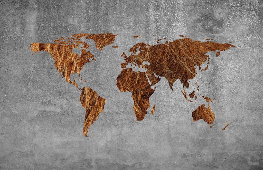 Wereldkaart met vacht structuur