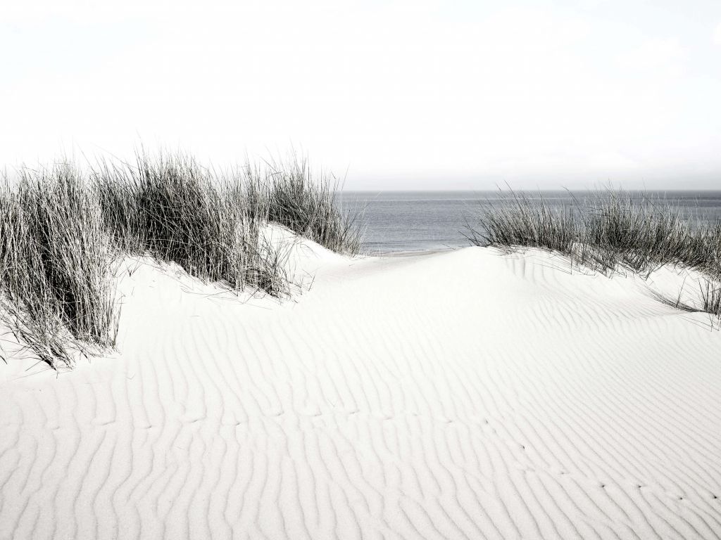 Duin doorgang naar het strand zwart-wit