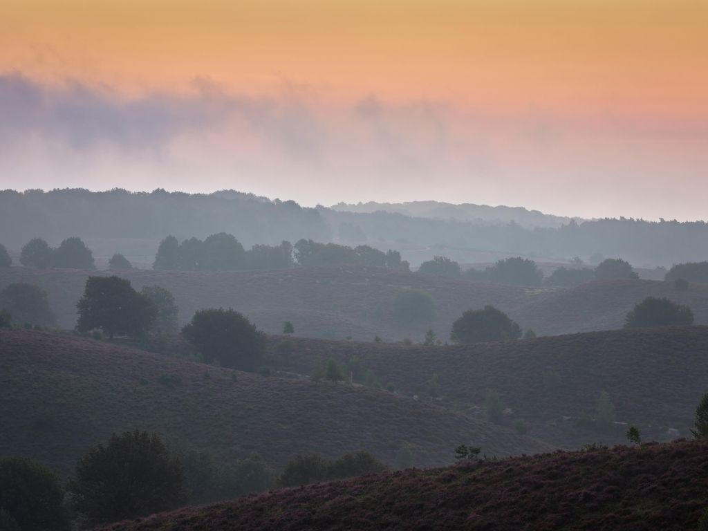 Mistige zonsopkomst op de heide