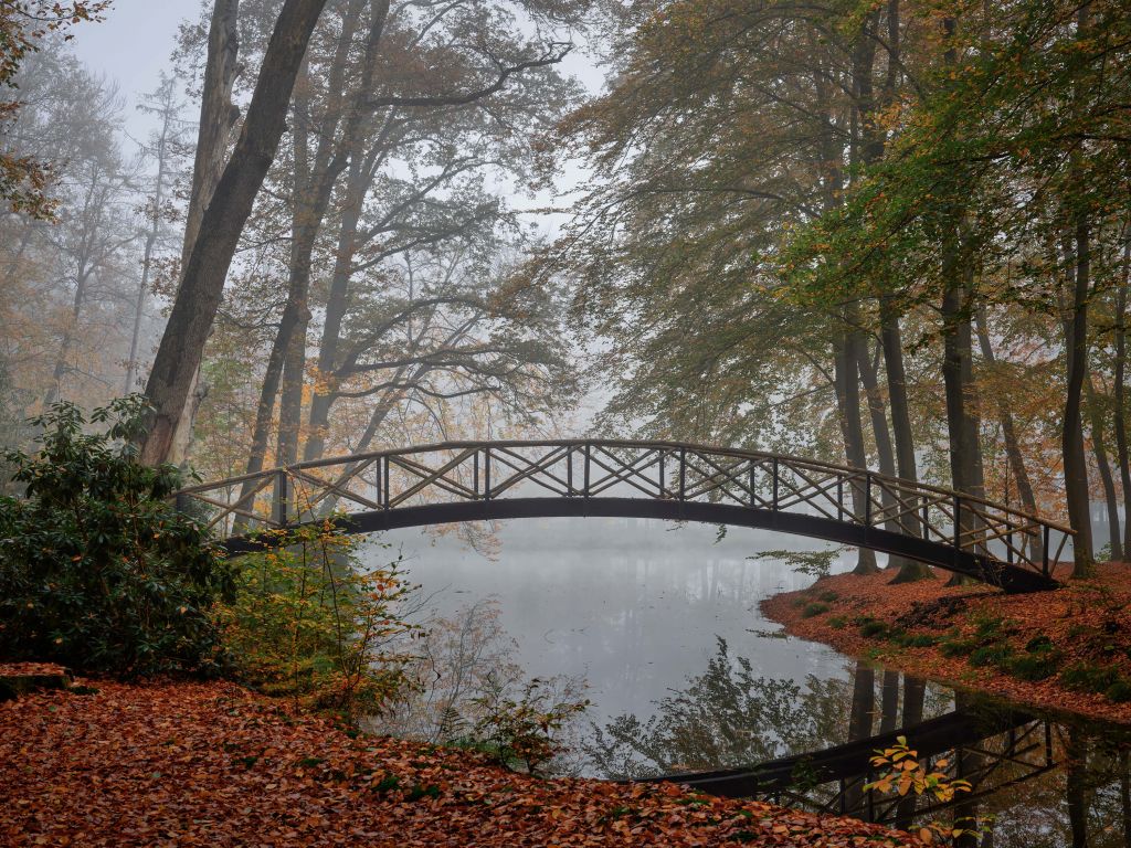 Bruggetje tussen de bomen