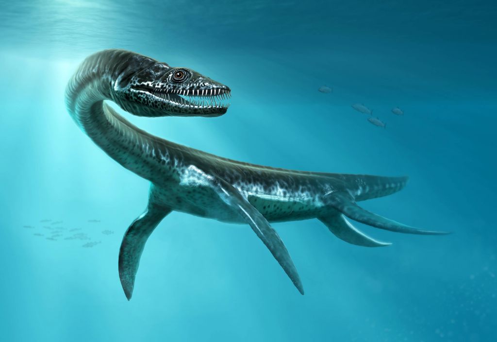 Dinosaurus van de zeeën