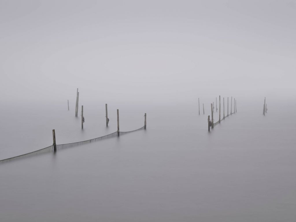 Visnetten in de mist