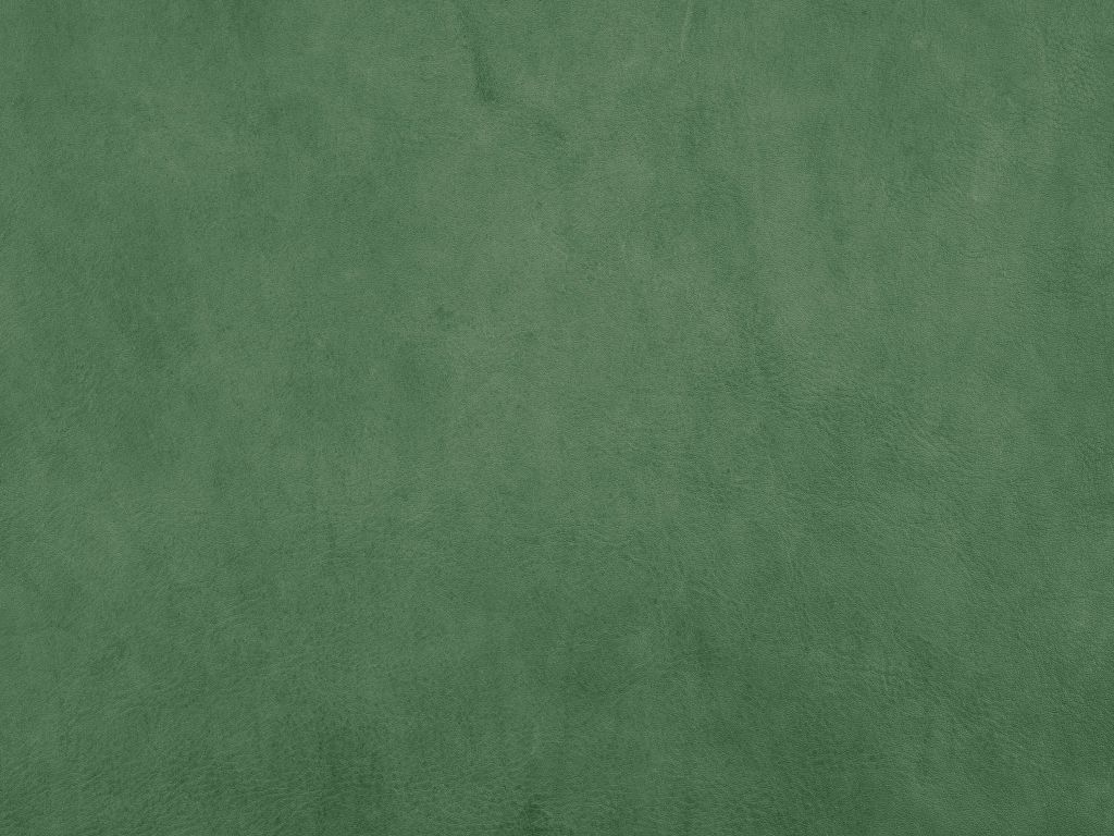 Groen leder