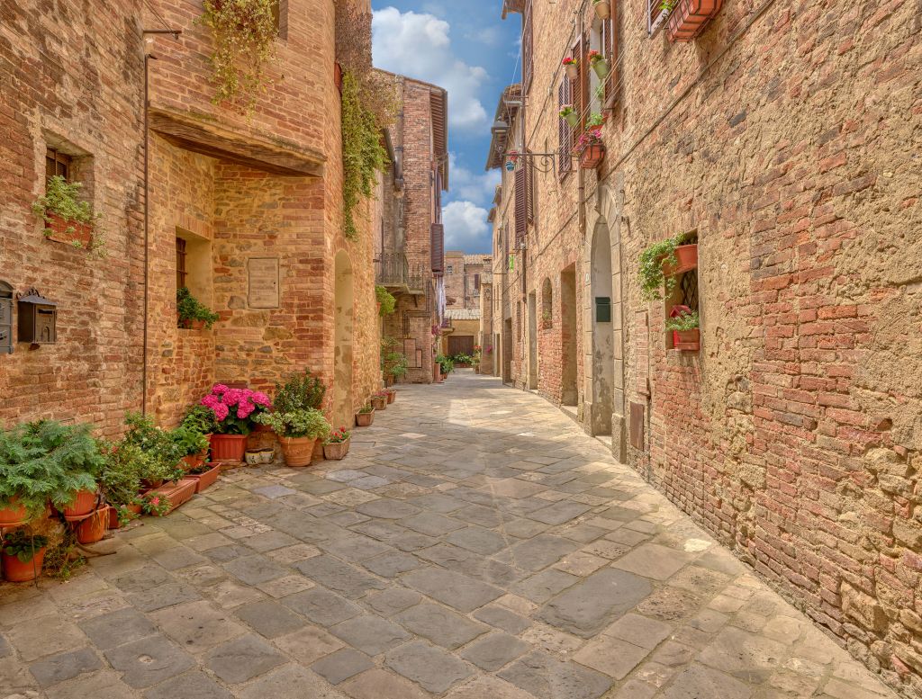 Italiaans straatje met planten en bloemen