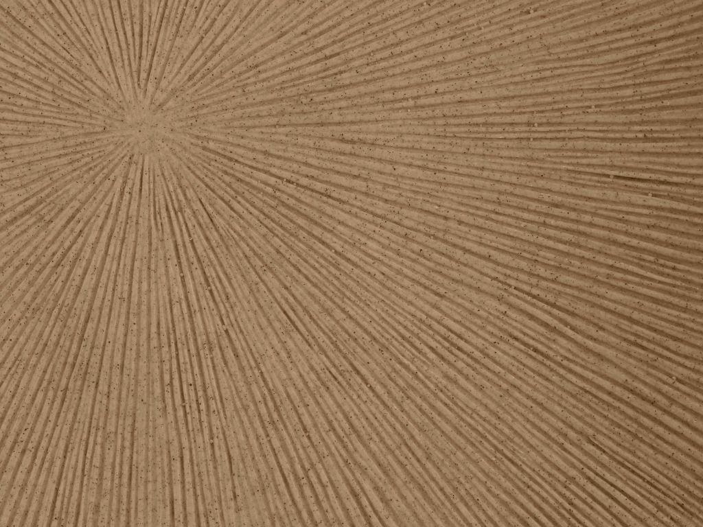 Structuur met lijnen zon in goud bruin