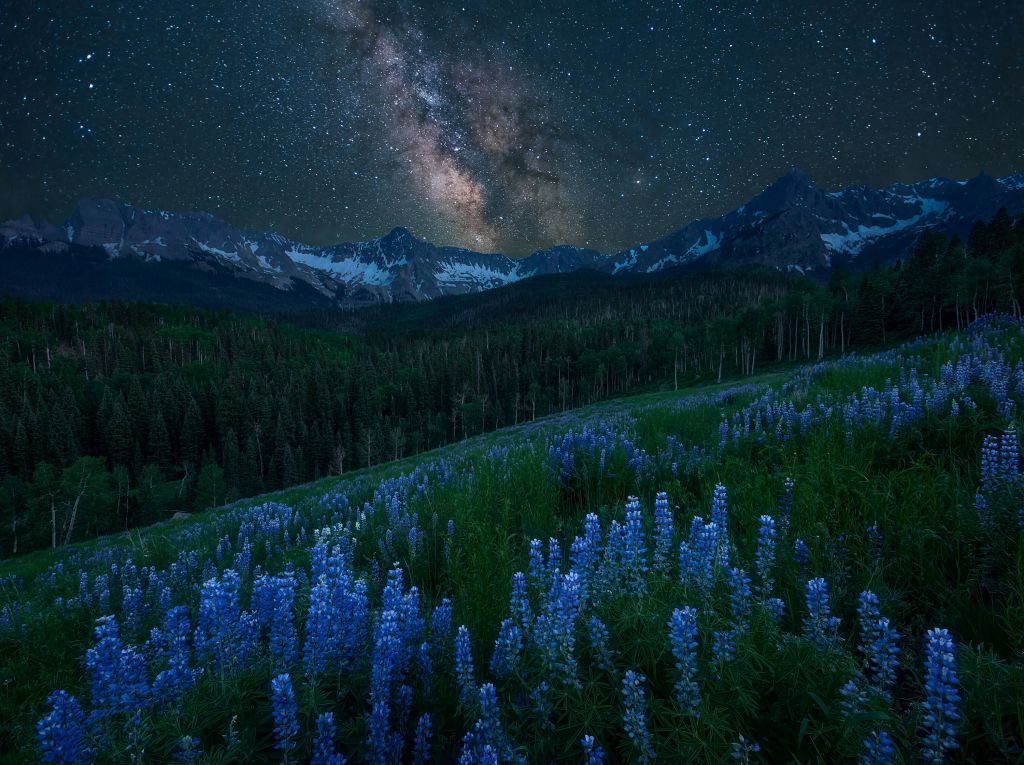 Milky Way over Lupine Slope