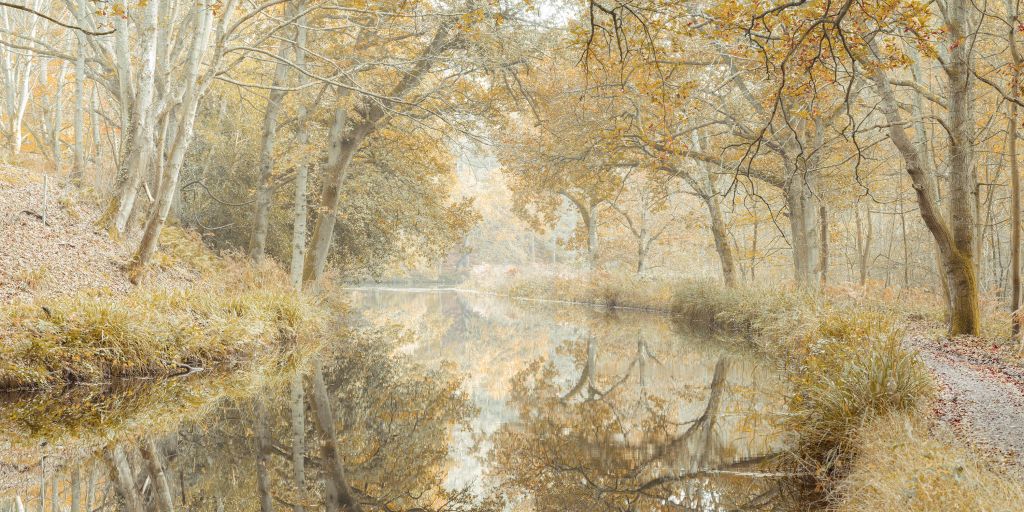 Kanaal door het bos