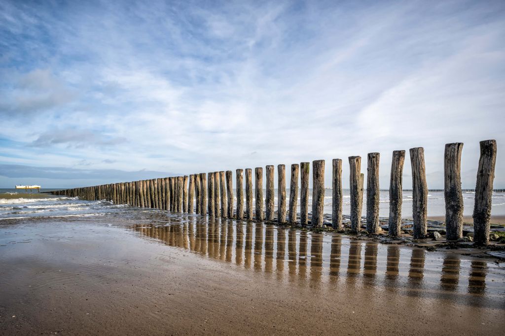 Houten golfbreker aan de kust bij Cadzand bad