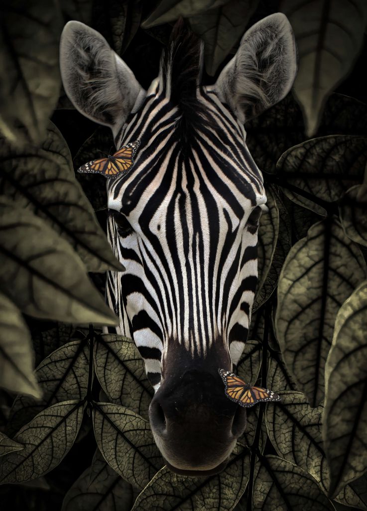 Jungle Zebra Portret
