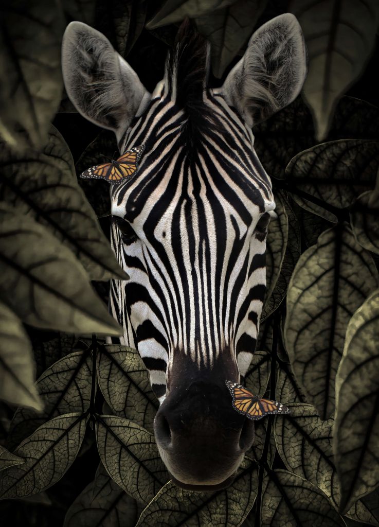 Jungle Zebra Portret