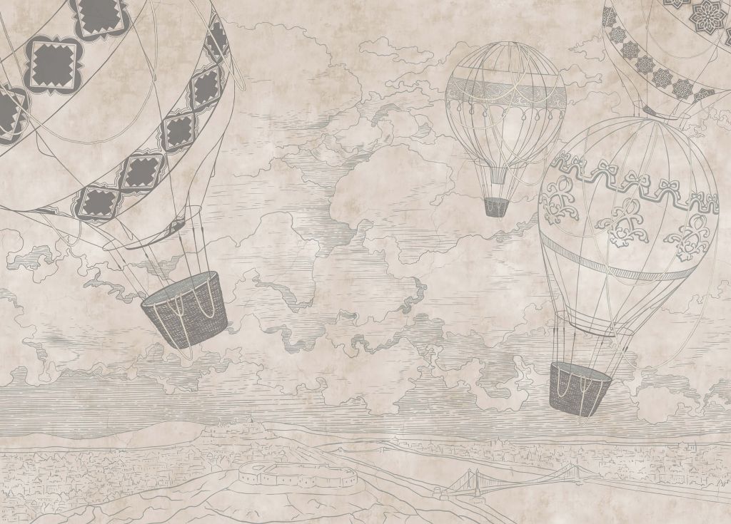 Luchtballonnen met een uitzicht