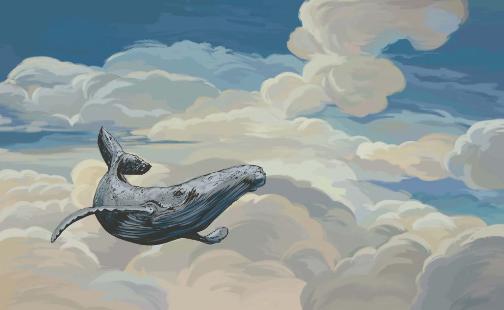 Walvis door de wolken