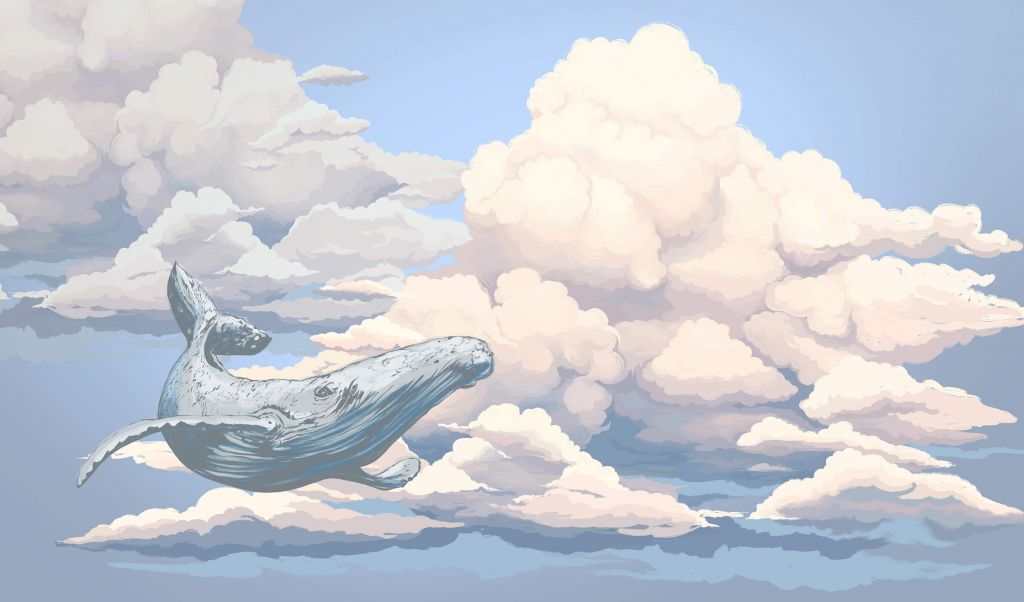 Walvis in de wolken