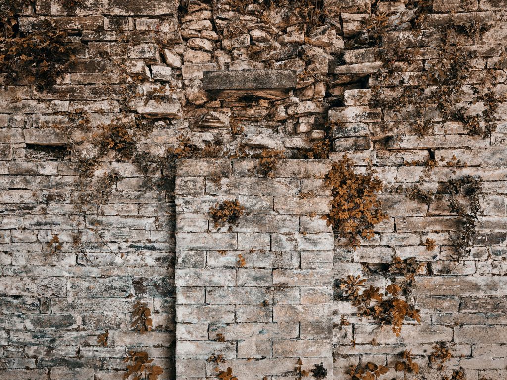 Begroeide muur in de herfst