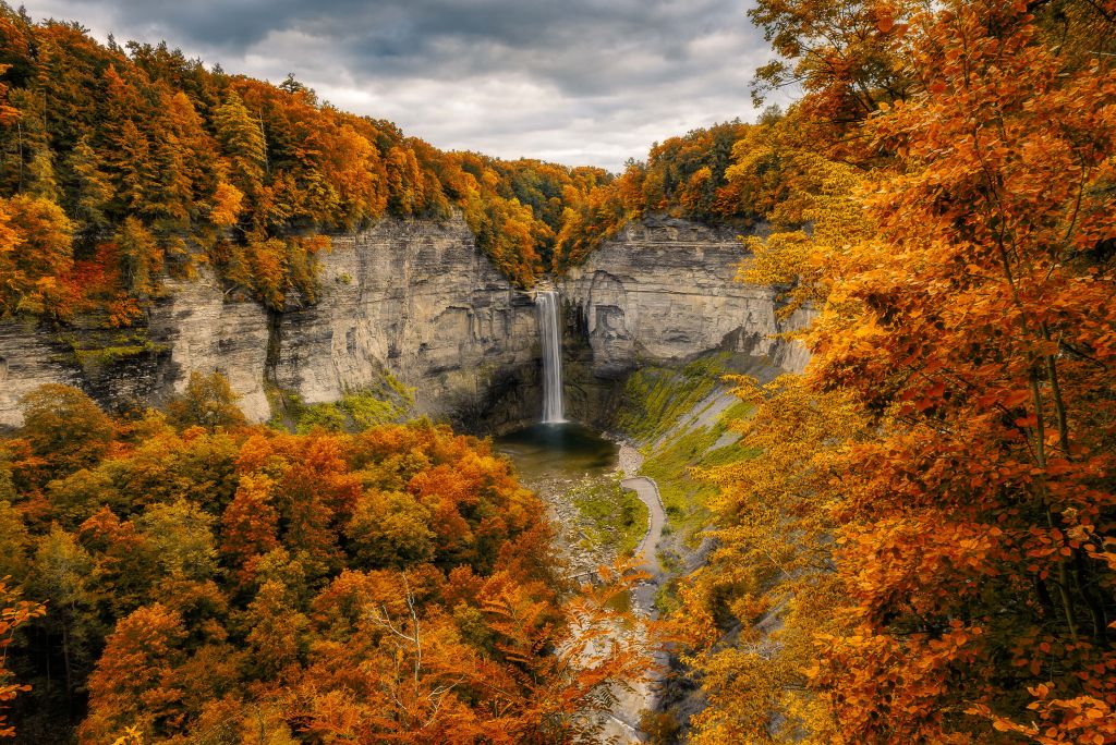 Falls at fall