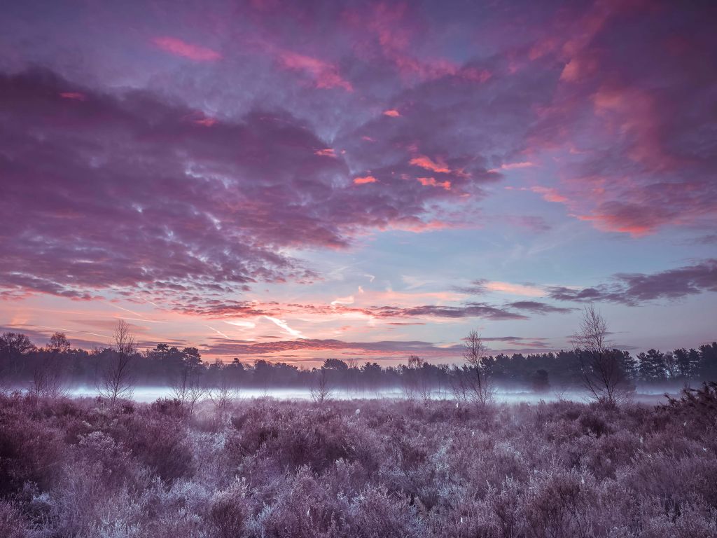 Weiland onder wolkenlucht