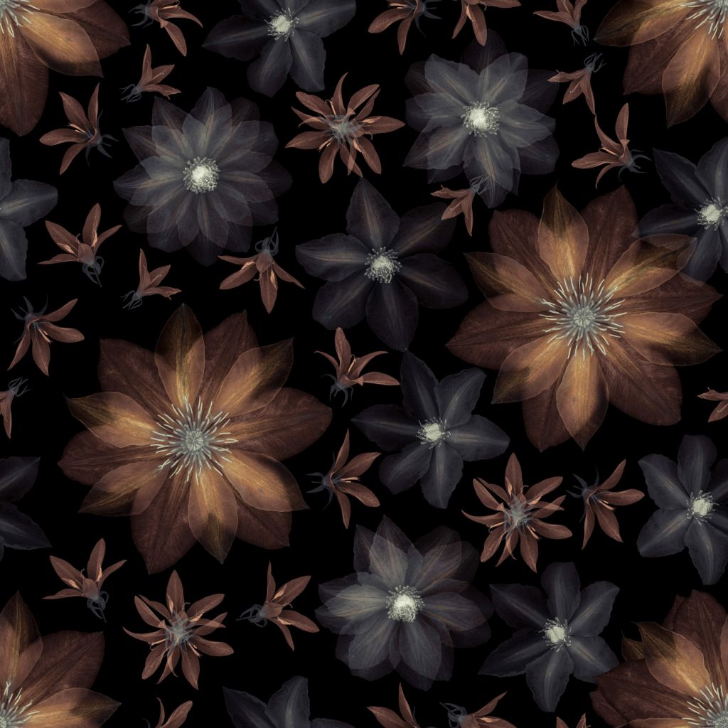 Clematis bloemen