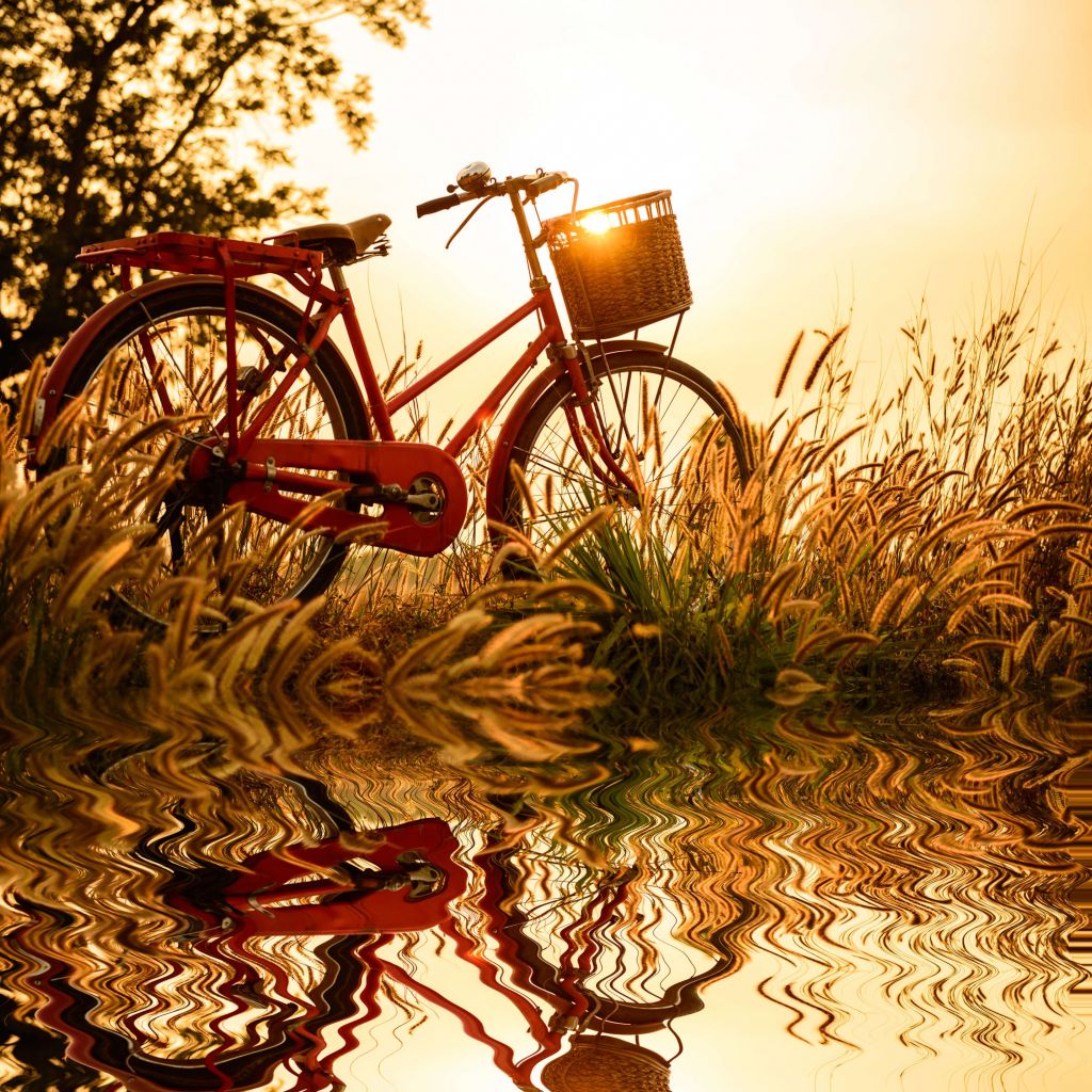 Fiets bij zonsondergang