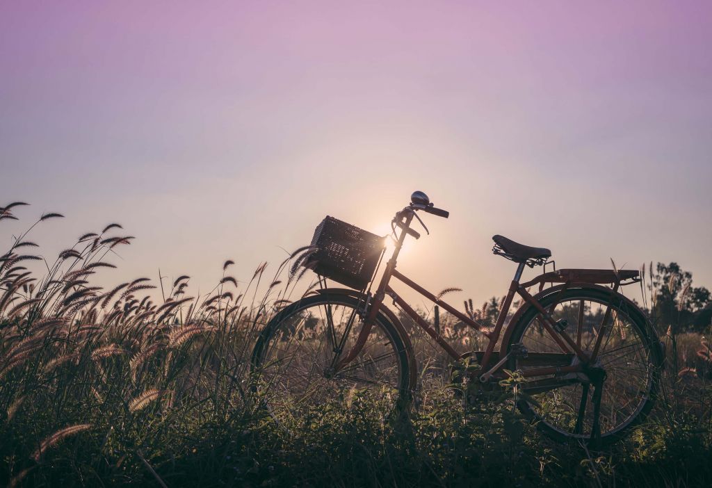 Fiets in een veld