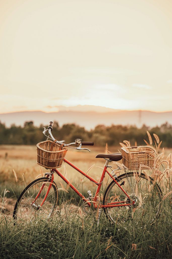 Oude fiets in de zomer