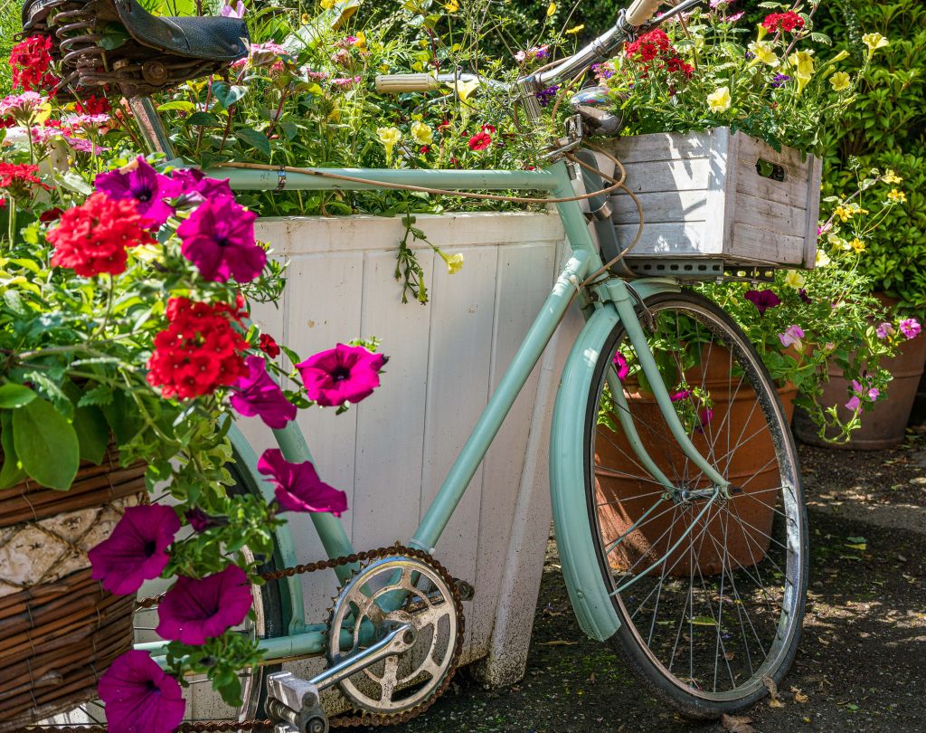 Oude fiets met bloemen