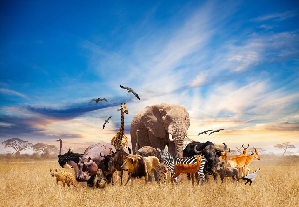 Groep Afrikaanse dieren