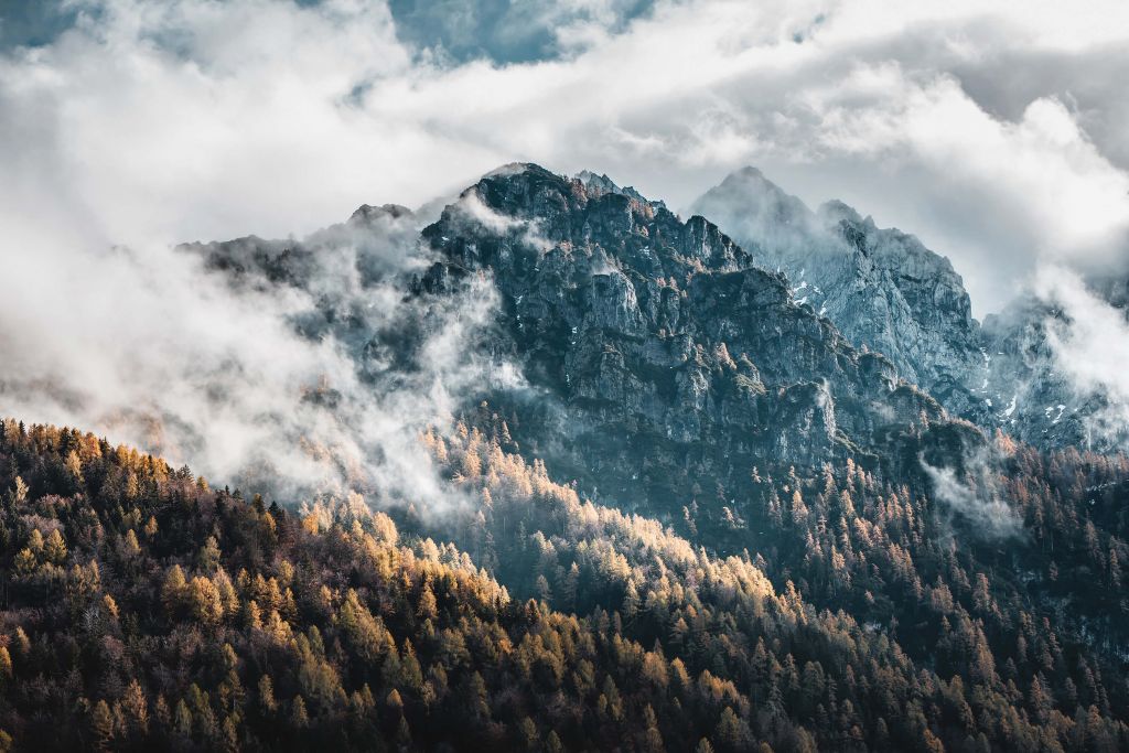 Fog in the mountains