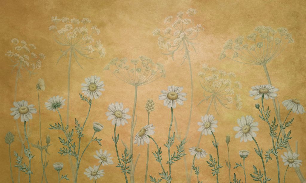 Dazzling Daisies - Yellow