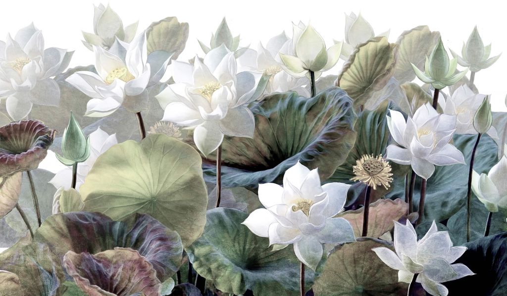 Schilderachtige lotusbloemen